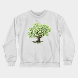 August birthday oak tree Crewneck Sweatshirt